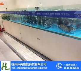 杭州飯店魚(yú)缸 弘英科技 飯店魚(yú)缸制作